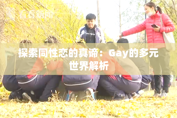 探索同性恋的真谛：Gay的多元世界解析