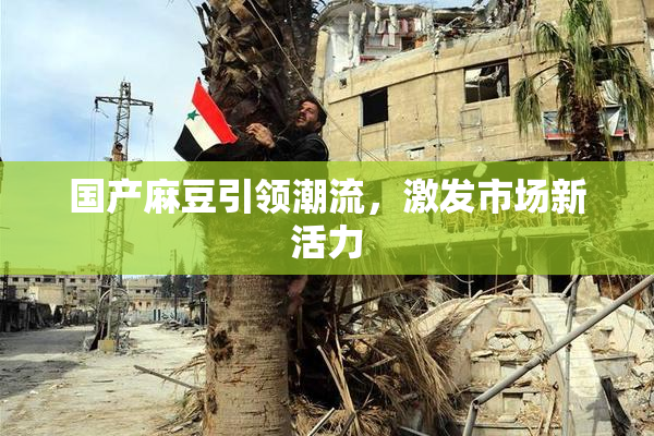 国产麻豆引领潮流，激发市场新活力