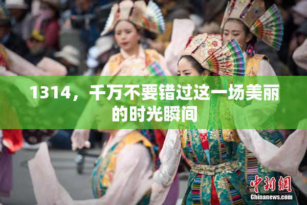 1314，千万不要错过这一场美丽的时光瞬间