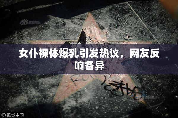 女仆裸体爆乳引发热议，网友反响各异