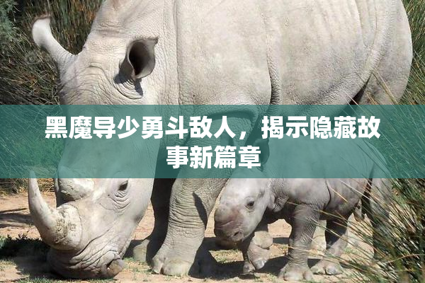 黑魔导少勇斗敌人，揭示隐藏故事新篇章
