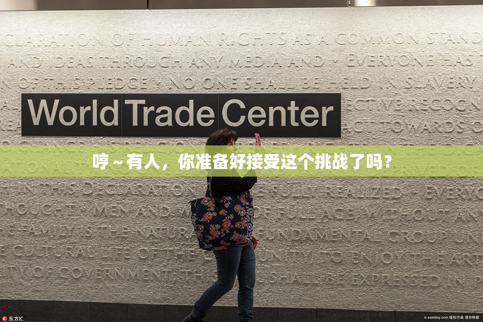 哼～有人，你准备好接受这个挑战了吗？