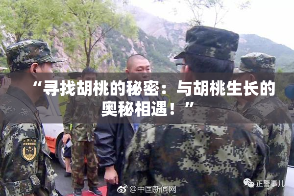 “寻找胡桃的秘密：与胡桃生长的奥秘相遇！”