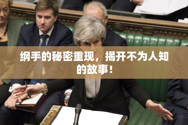 纲手的秘密重现，揭开不为人知的故事！
