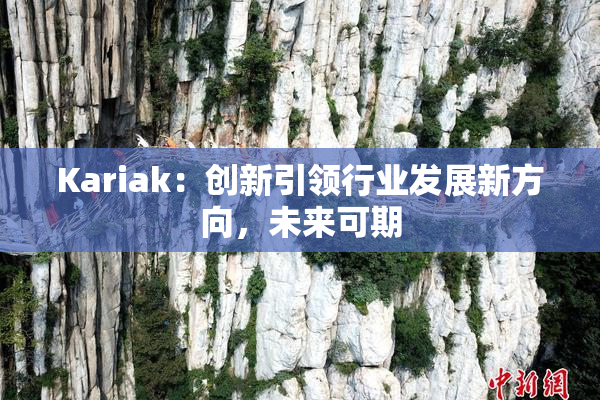 Kariak：创新引领行业发展新方向，未来可期