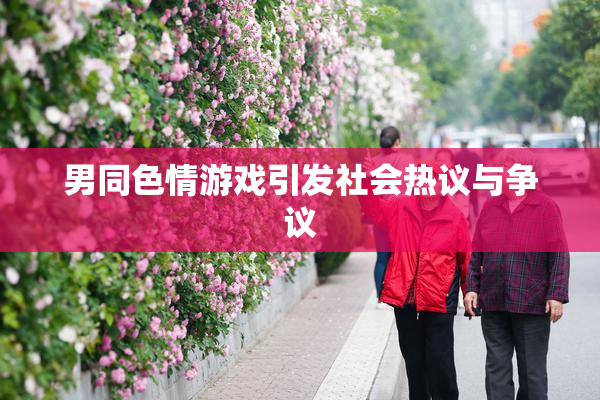 男同色情游戏引发社会热议与争议