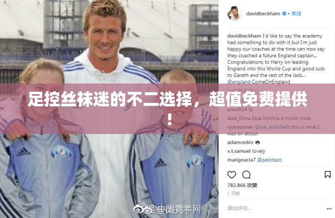 足控丝袜迷的不二选择，超值免费提供！