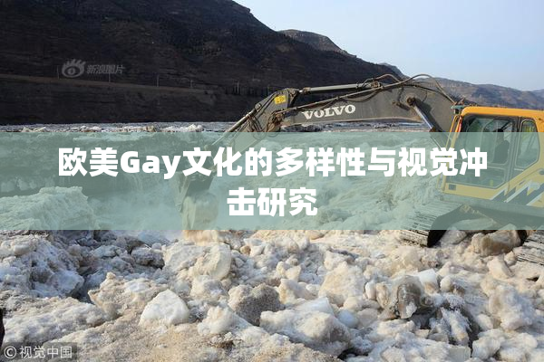 欧美Gay文化的多样性与视觉冲击研究