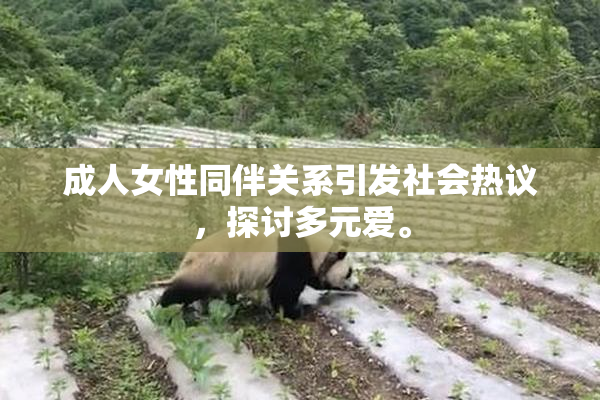 成人女性同伴关系引发社会热议，探讨多元爱。