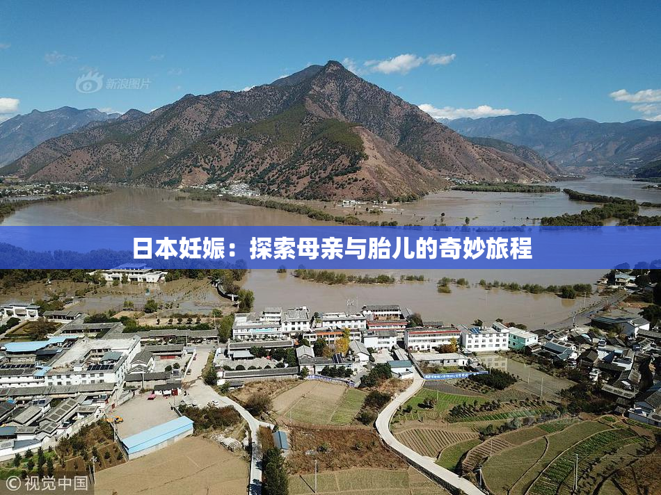 日本妊娠：探索母亲与胎儿的奇妙旅程