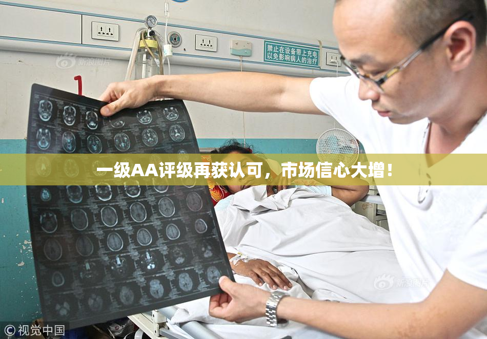 一级AA评级再获认可，市场信心大增！