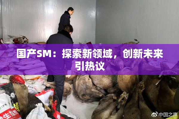 国产SM：探索新领域，创新未来引热议