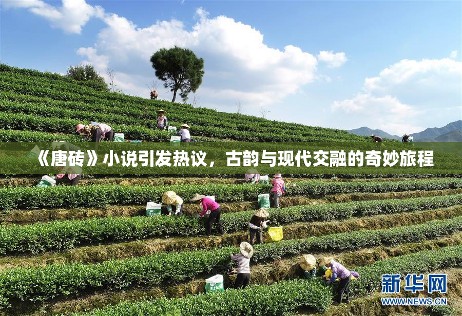 《唐砖》小说引发热议，古韵与现代交融的奇妙旅程
