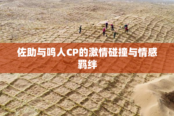 佐助与鸣人CP的激情碰撞与情感羁绊