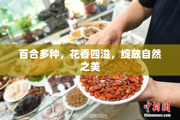 百合多种，花香四溢，绽放自然之美