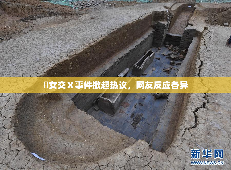乣女交Ⅹ事件掀起热议，网友反应各异