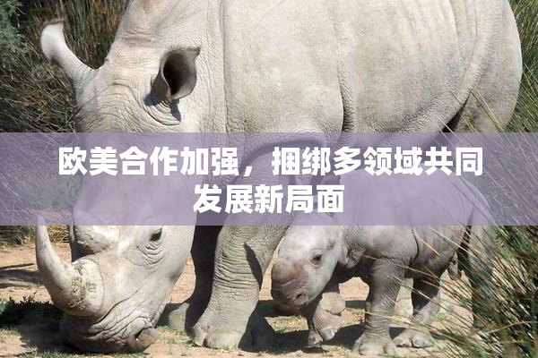 欧美合作加强，捆绑多领域共同发展新局面