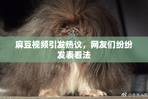 麻豆视频引发热议，网友们纷纷发表看法