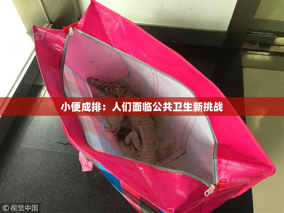 小便成排：人们面临公共卫生新挑战