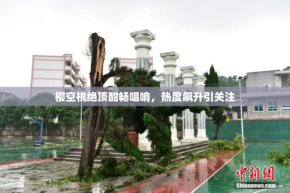 樱空桃绝顶酣畅唱响，热度飙升引关注