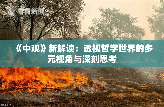《中观》新解读：透视哲学世界的多元视角与深刻思考