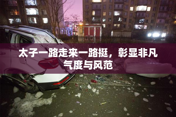 太子一路走来一路挺，彰显非凡气度与风范