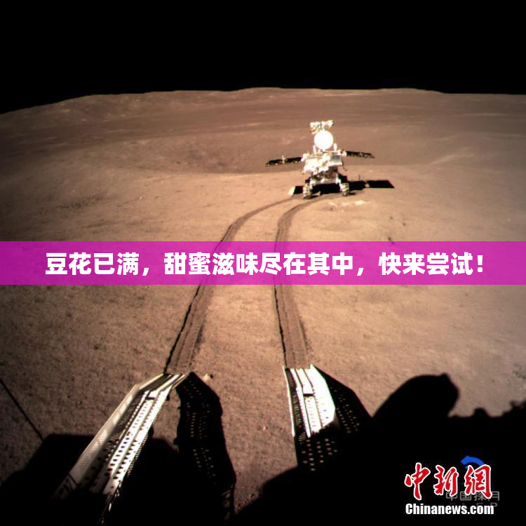 豆花已满，甜蜜滋味尽在其中，快来尝试！