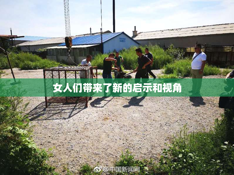 女人们带来了新的启示和视角