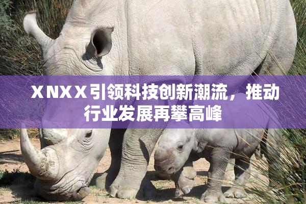 ⅩNXⅩ引领科技创新潮流，推动行业发展再攀高峰