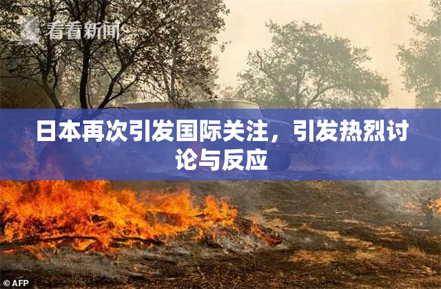 日本再次引发国际关注，引发热烈讨论与反应
