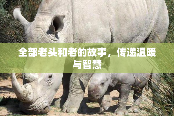 全部老头和老的故事，传递温暖与智慧
