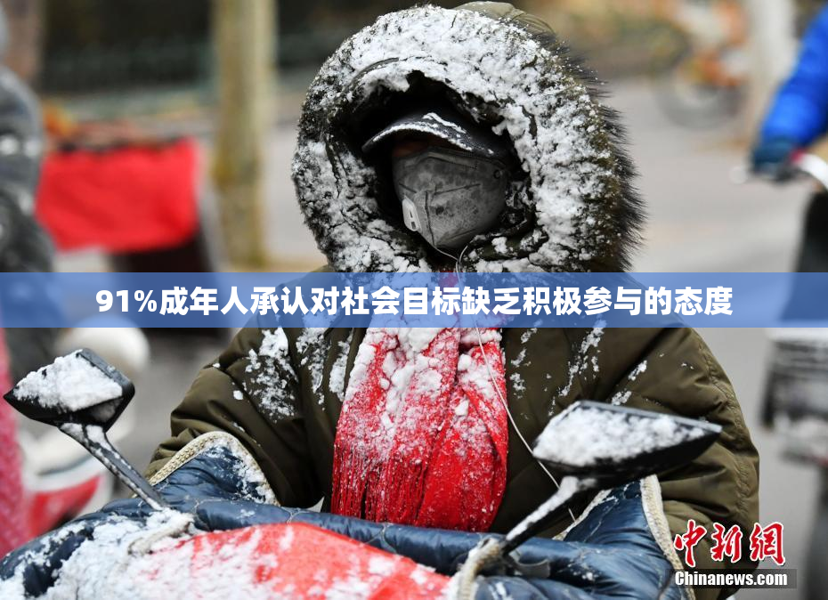 91%成年人承认对社会目标缺乏积极参与的态度