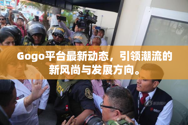 Gogo平台最新动态，引领潮流的新风尚与发展方向。