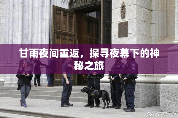 甘雨夜间重返，探寻夜幕下的神秘之旅