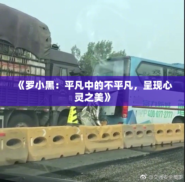 《罗小黑：平凡中的不平凡，呈现心灵之美》