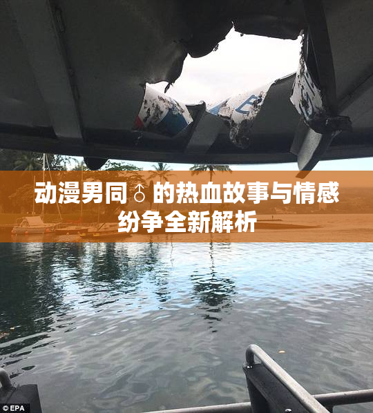 动漫男同♂的热血故事与情感纷争全新解析