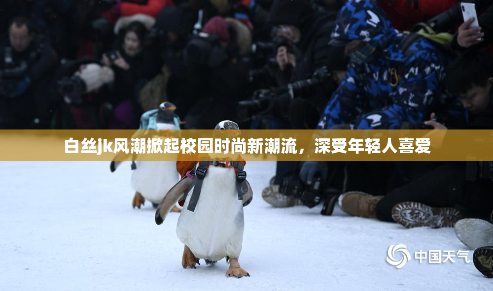 白丝jk风潮掀起校园时尚新潮流，深受年轻人喜爱