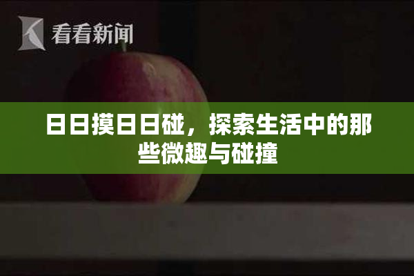 日日摸日日碰，探索生活中的那些微趣与碰撞