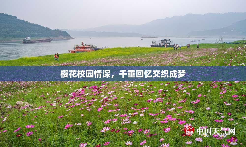 樱花校园情深，千重回忆交织成梦