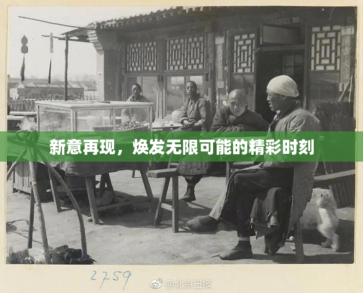 新意再现，焕发无限可能的精彩时刻