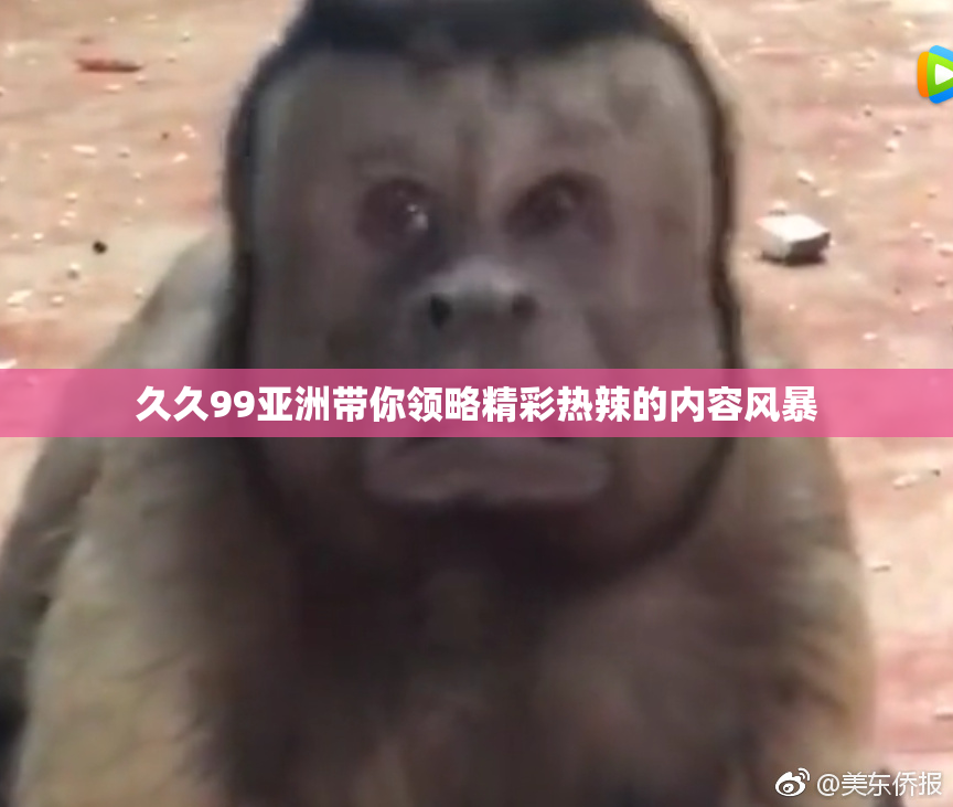 久久99亚洲带你领略精彩热辣的内容风暴