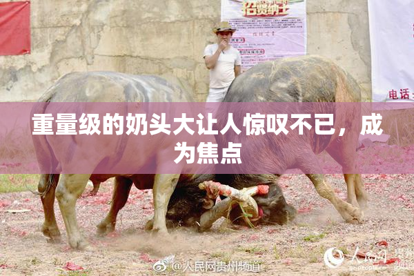 重量级的奶头大让人惊叹不已，成为焦点