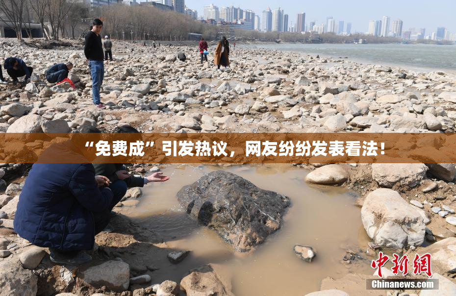 “免费成”引发热议，网友纷纷发表看法！