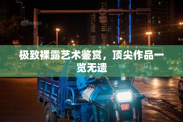 极致裸露艺术鉴赏，顶尖作品一览无遗