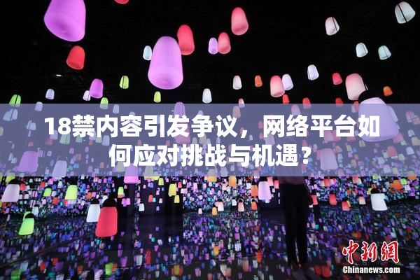 18禁内容引发争议，网络平台如何应对挑战与机遇？