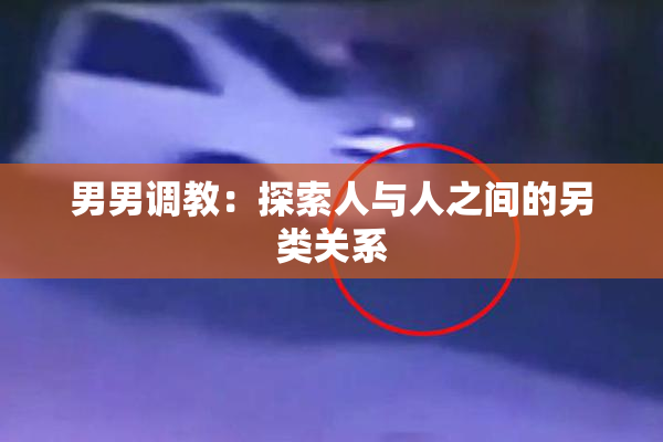 男男调教：探索人与人之间的另类关系