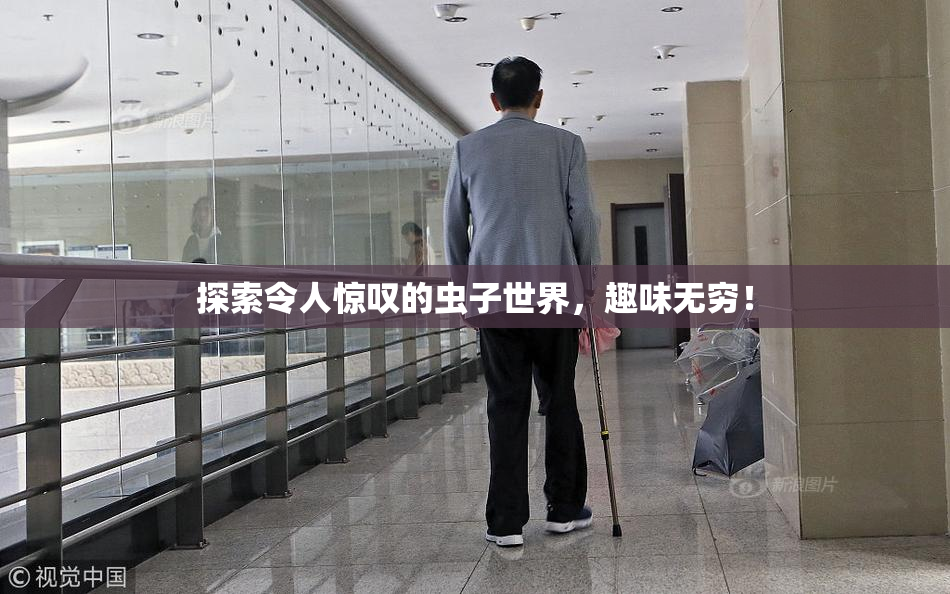 探索令人惊叹的虫子世界，趣味无穷！
