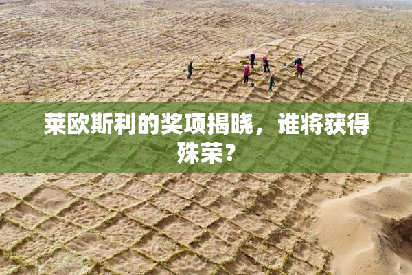 莱欧斯利的奖项揭晓，谁将获得殊荣？