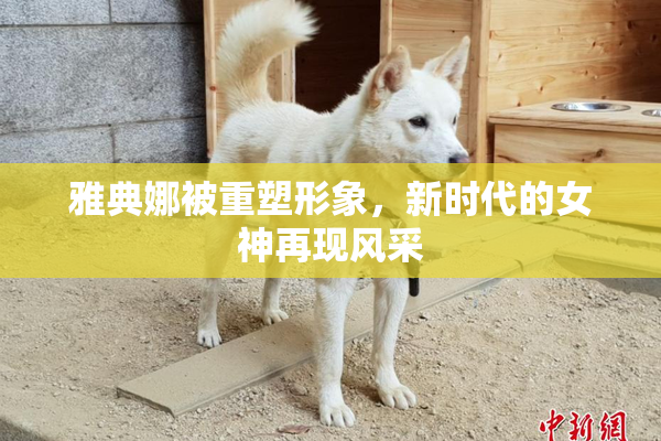 雅典娜被重塑形象，新时代的女神再现风采