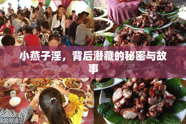 小燕子淫，背后潜藏的秘密与故事